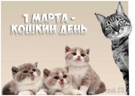 &amp;quot;1 марта - день кошек!&amp;quot;.